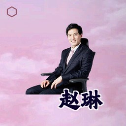 赵琳